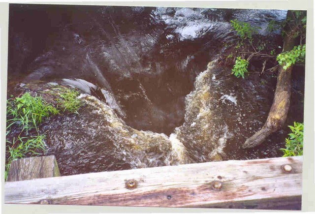 More of the beaver dam on Red Springs and Northern,