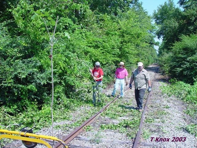 Lumber Bridge Work Party-RS&N