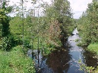 Red Springs Bridge